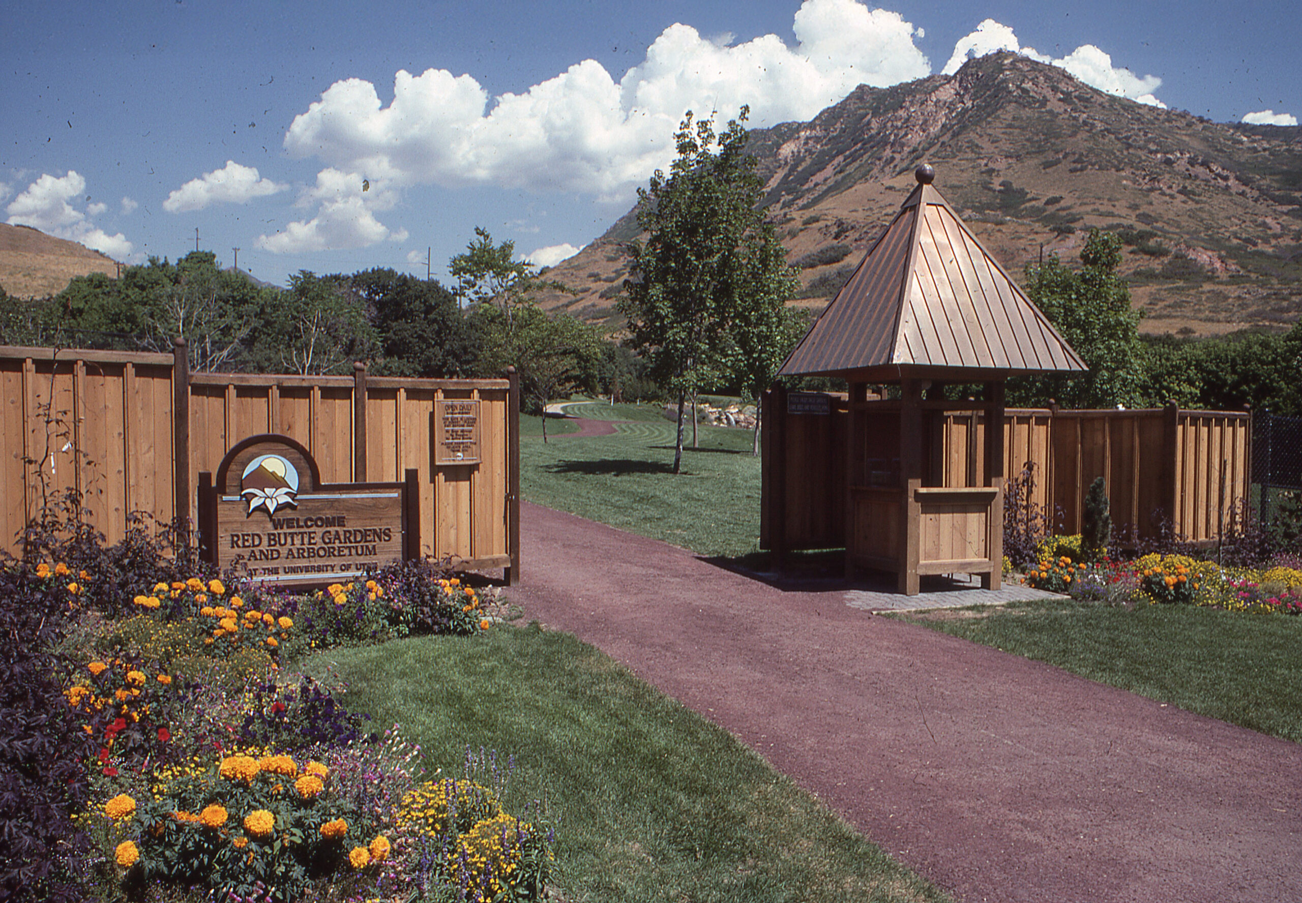 Featured image for “Guest Blog | Canyon Connections: Linking History, Horticulture, and Community”