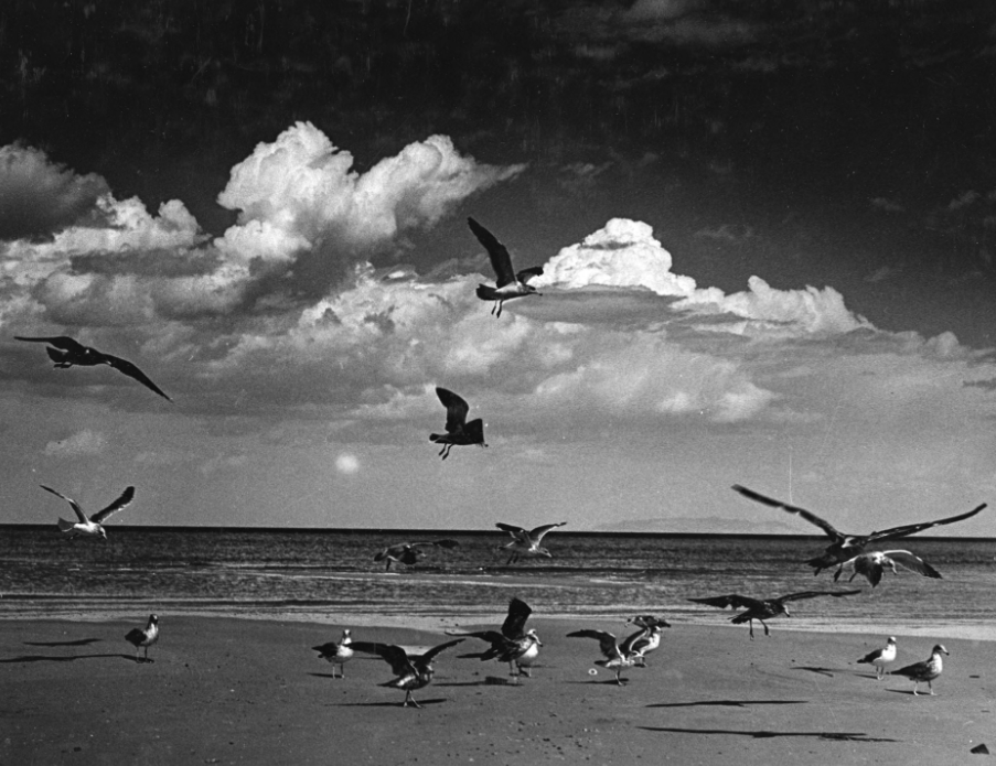 Museum of Utah – UHS | Utah Historical Society - 